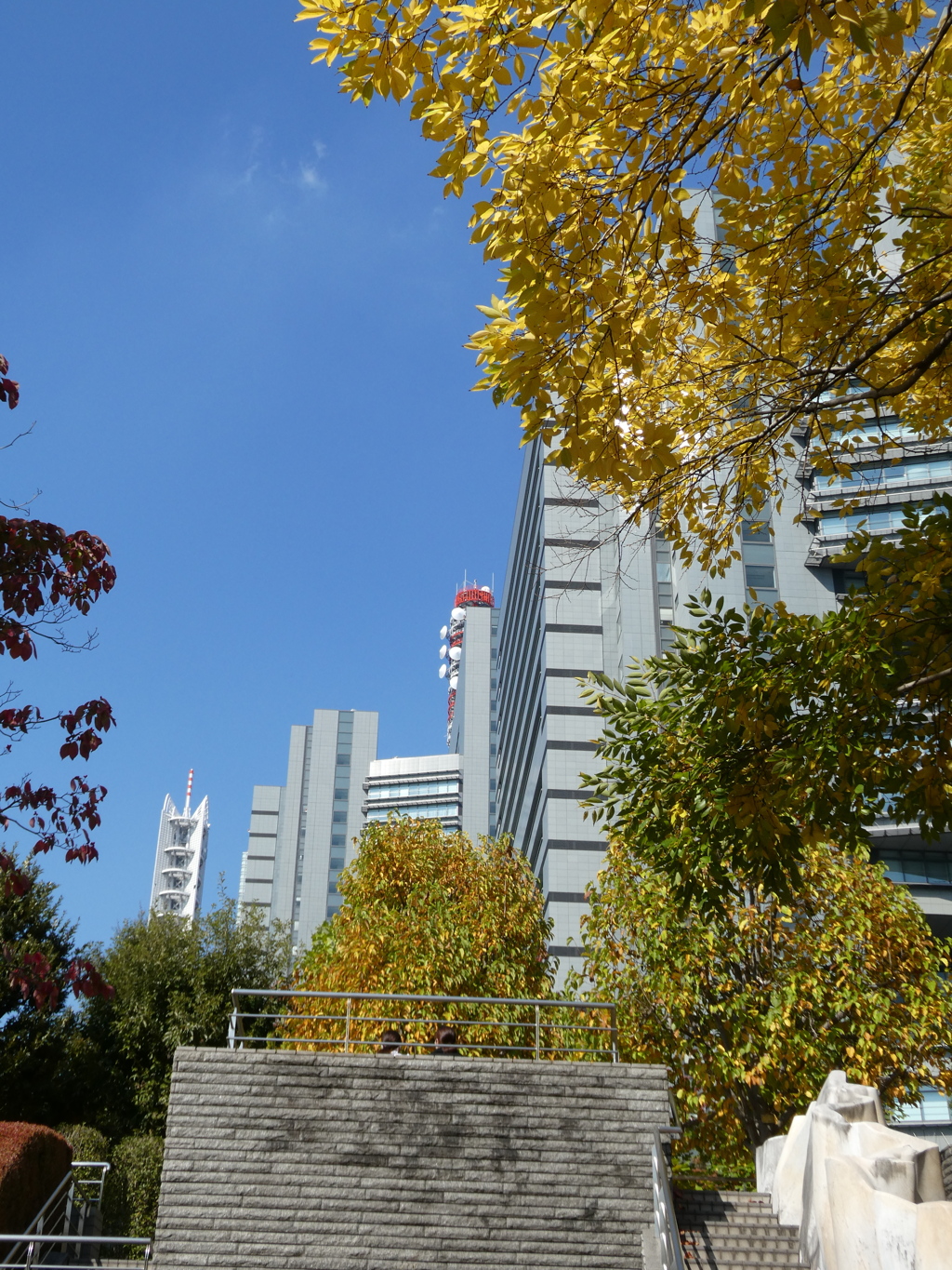 さいたま新都心の秋