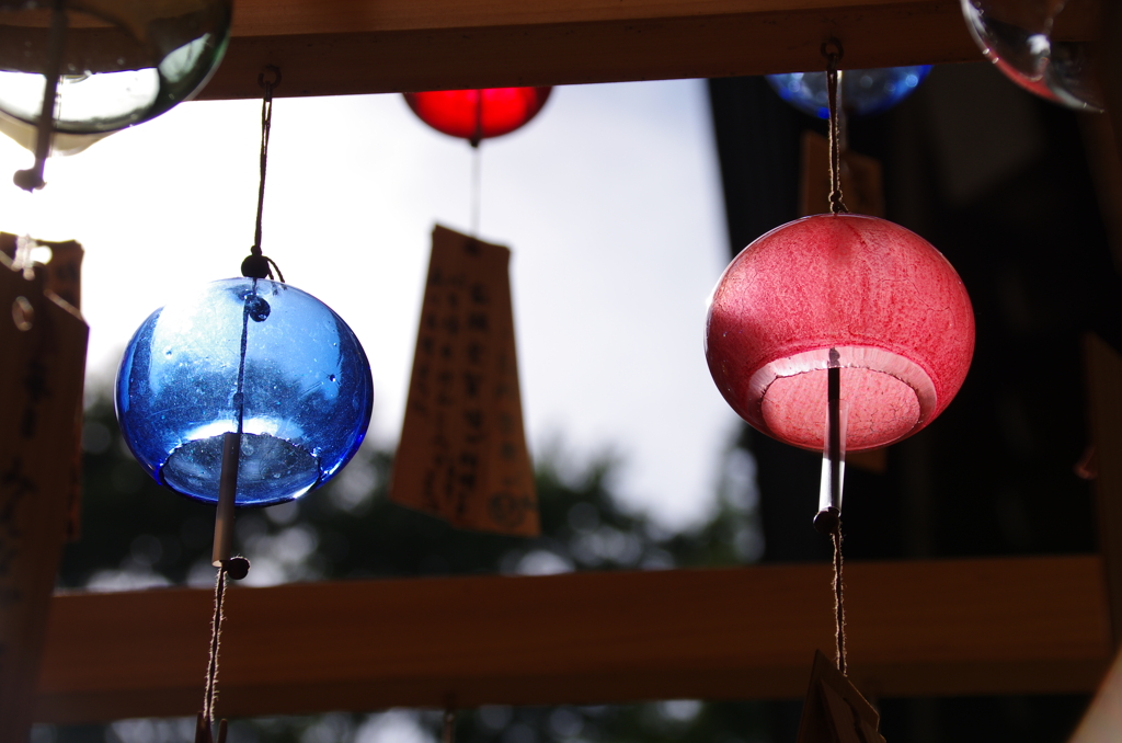 蒼と紅