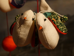 つがいの鳩