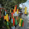 色とりどりの短冊たち