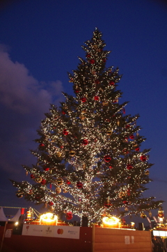 クリスマスツリー、輝きを増す