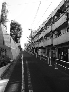 新坂