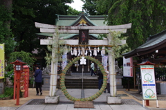 茅の輪in川越八幡宮