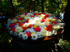 氷川神社の花手水(師走その３)