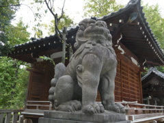 牛嶋神社の狛犬(吽形)