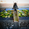 緑花手水