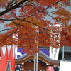 泉岳寺の紅葉