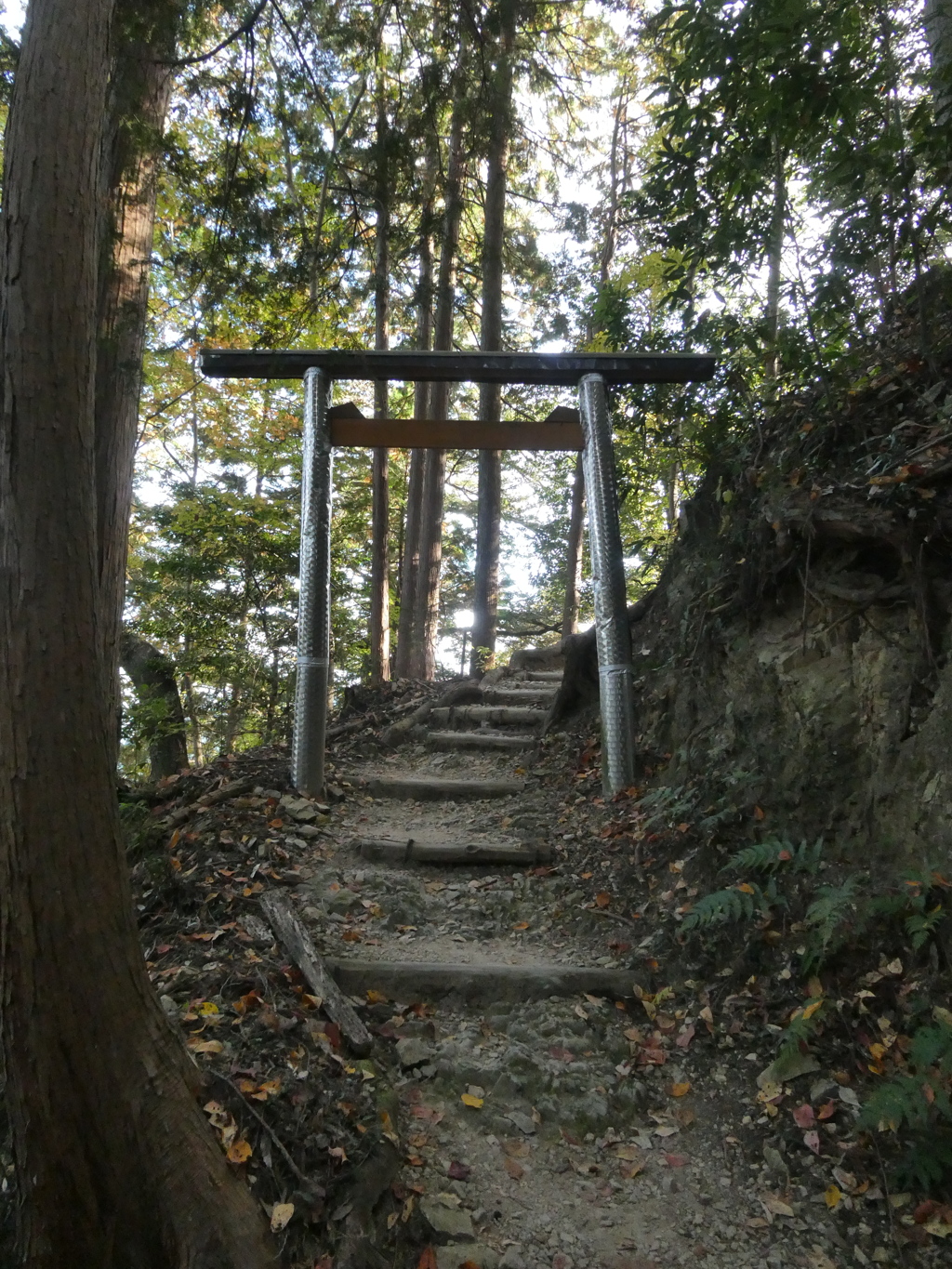 三笠山神社の鳥居
