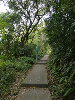 舗装された参道