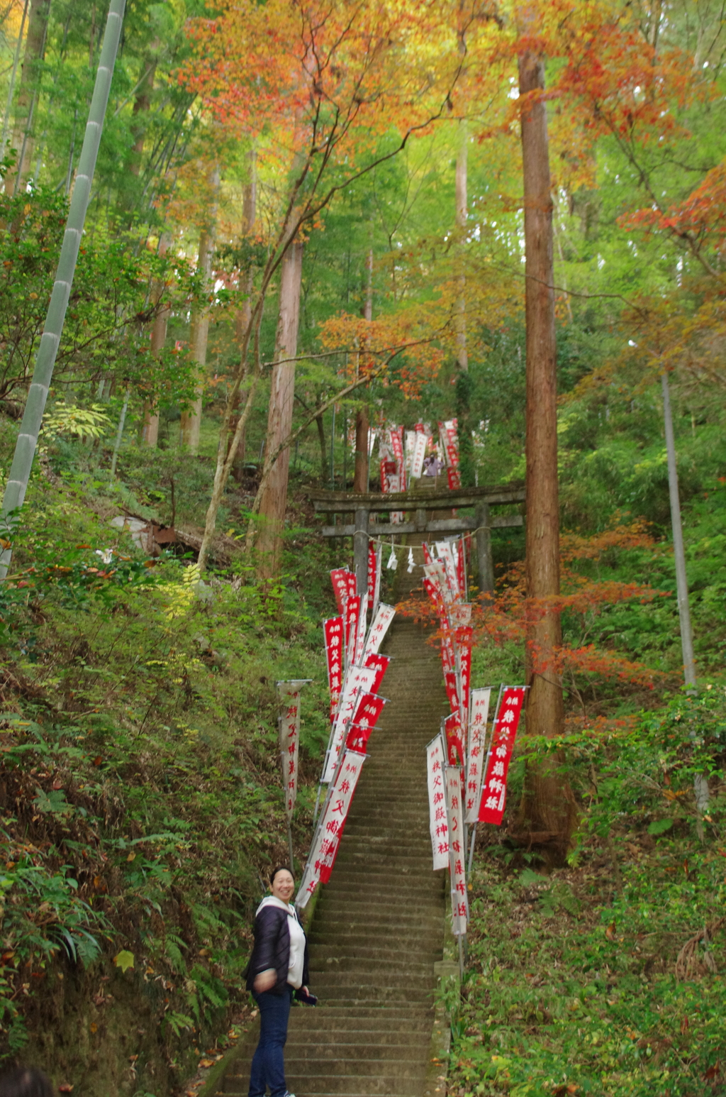 秩父御嶽神社の急階段