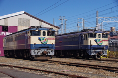 久々の車両展示