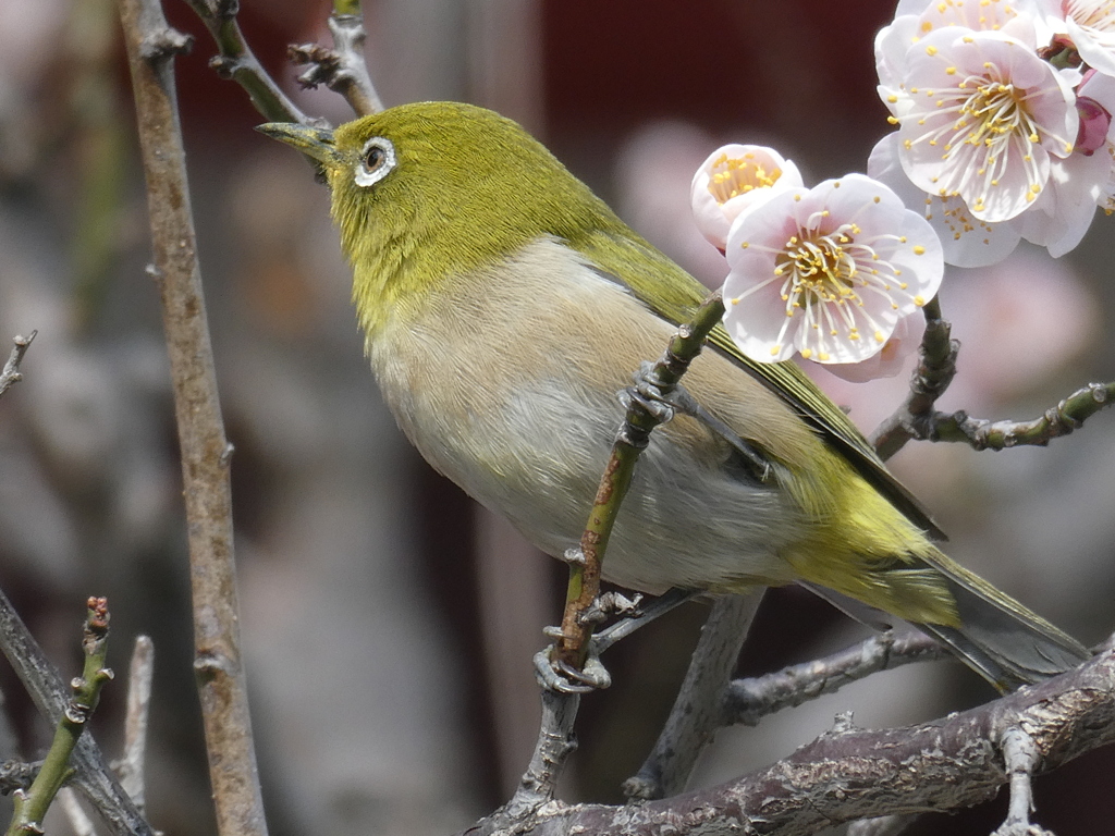 上の空？ by かみちゃん209-300 （ID：13376530） - 写真共有サイト:PHOTOHITO