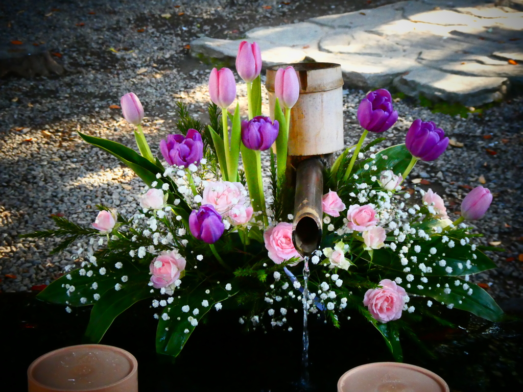 氷川神社の花手水(師走その１)