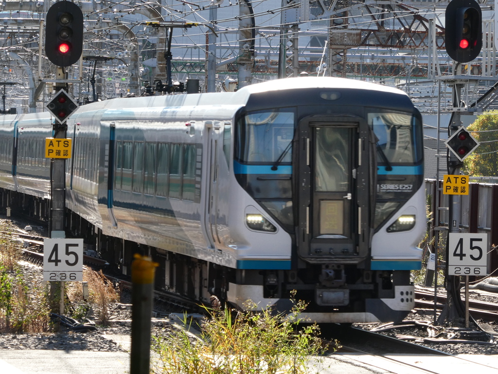 E257系回送