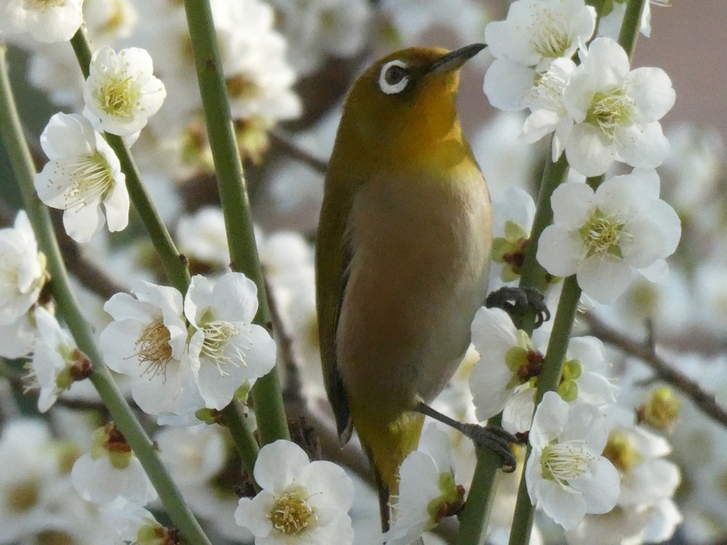 垂直につかまって・・・