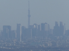 高尾山から撮った副都心とスカイツリー