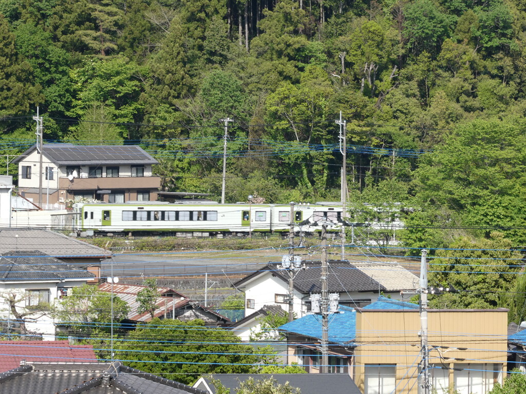 五大尊つつじ公園から撮った八高線