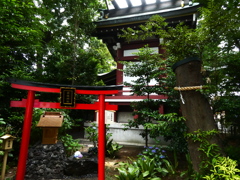 鎮守の森