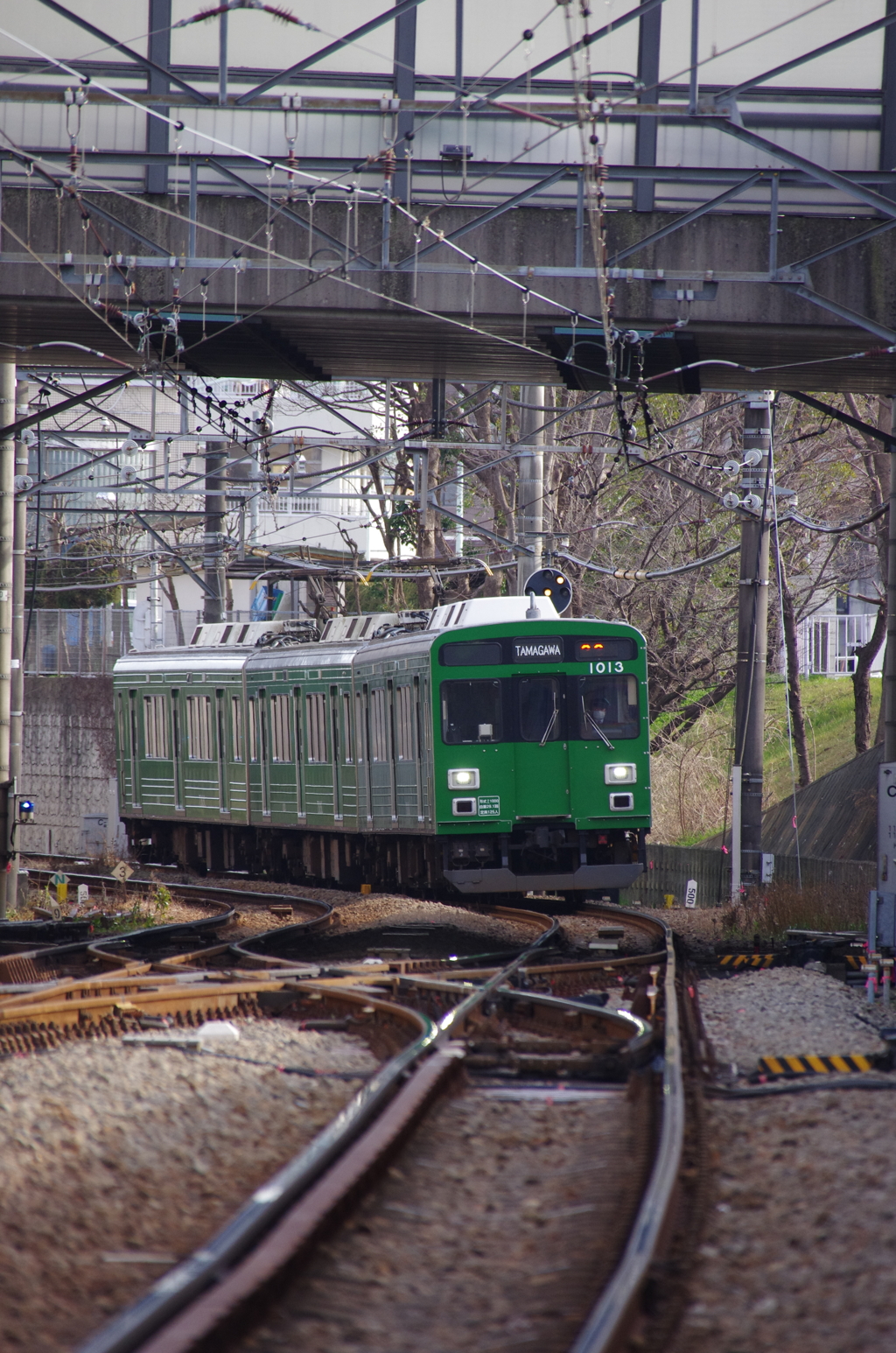 東急1000系「緑の電車」