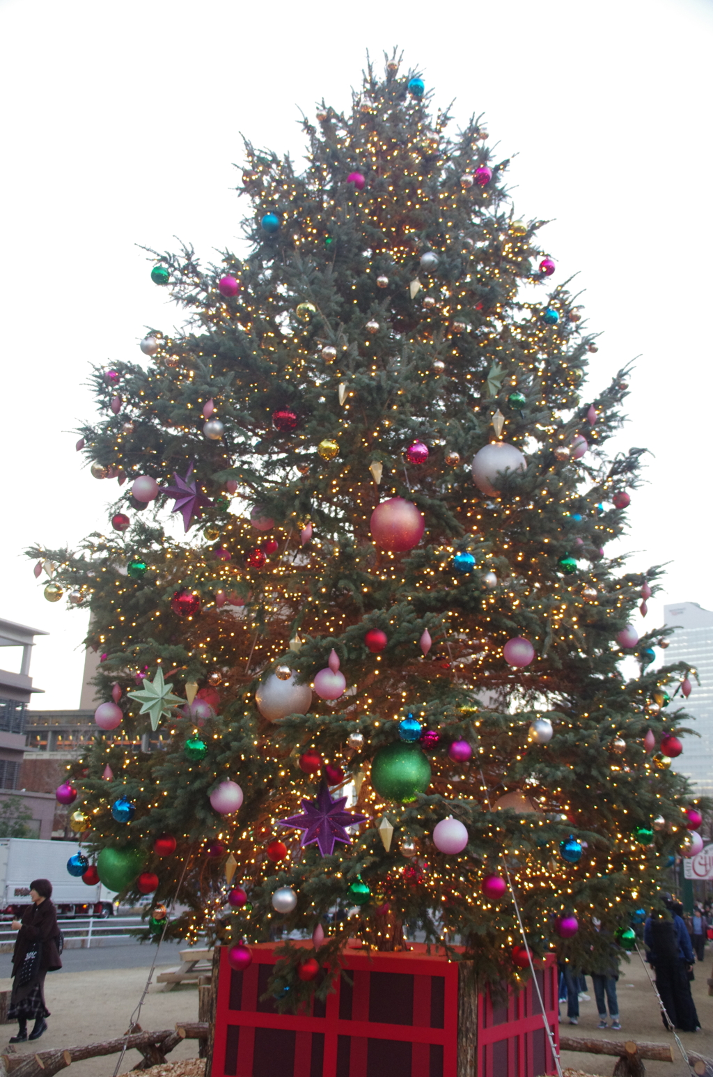 昼間のクリスマスツリー