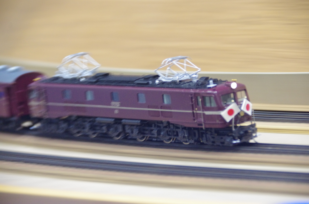 お召列車流し撮り