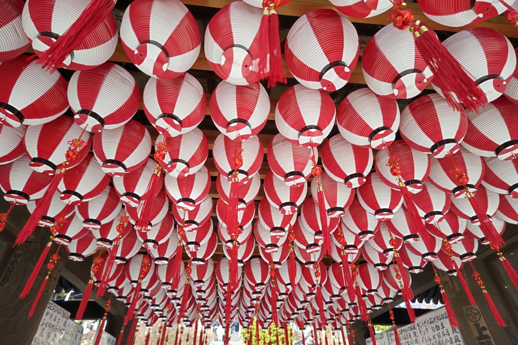 提灯天井