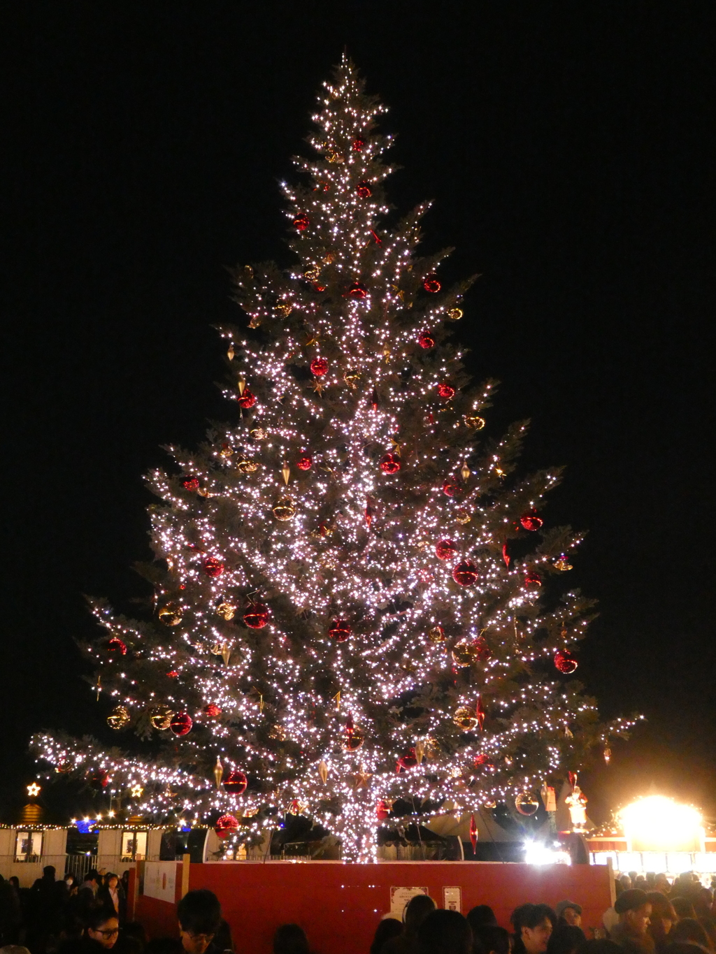 クリスマスツリーはこれだねぇ