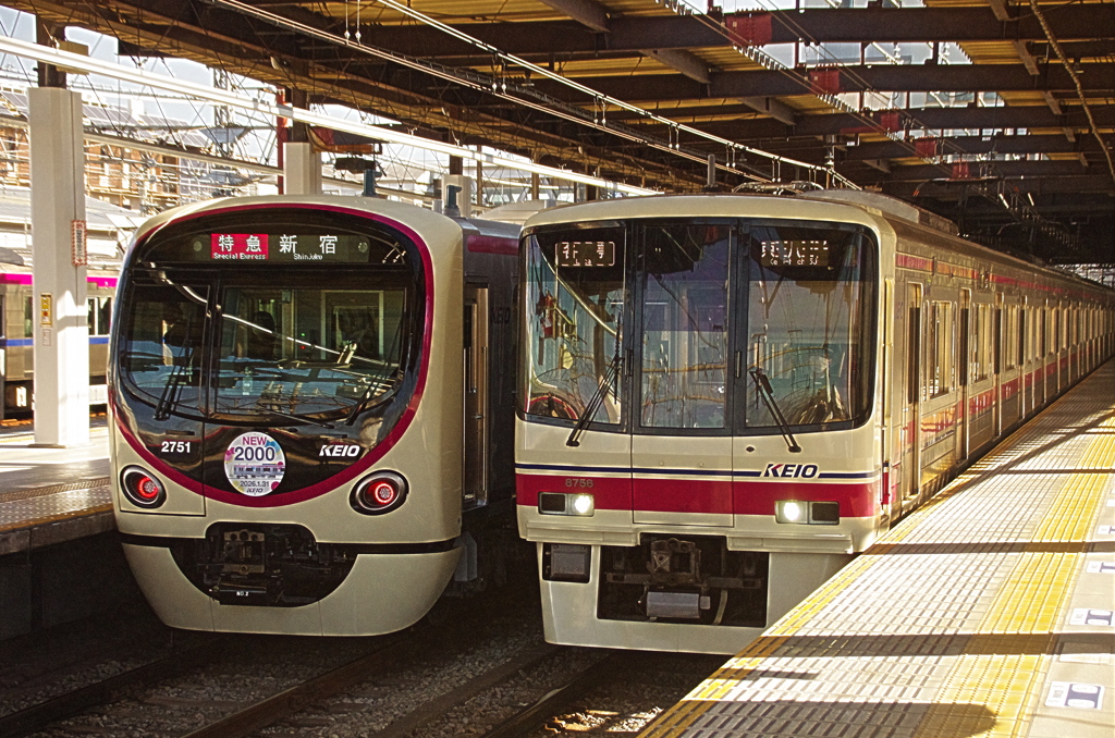 新星と主力の並び