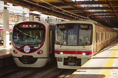 新星と主力の並び