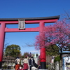 早春の亀戸天神大鳥居