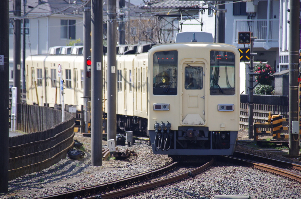 東武8000系(セイジクリーム)