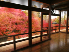 東福寺の紅葉in上野