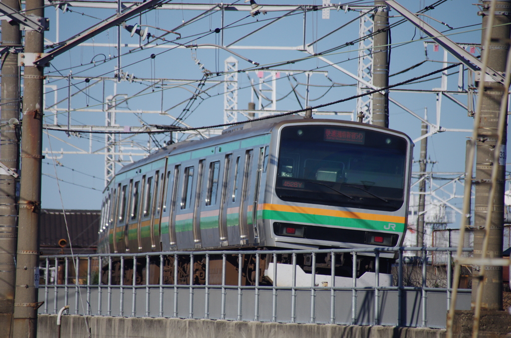 湘南新宿ライン後ろ撮り