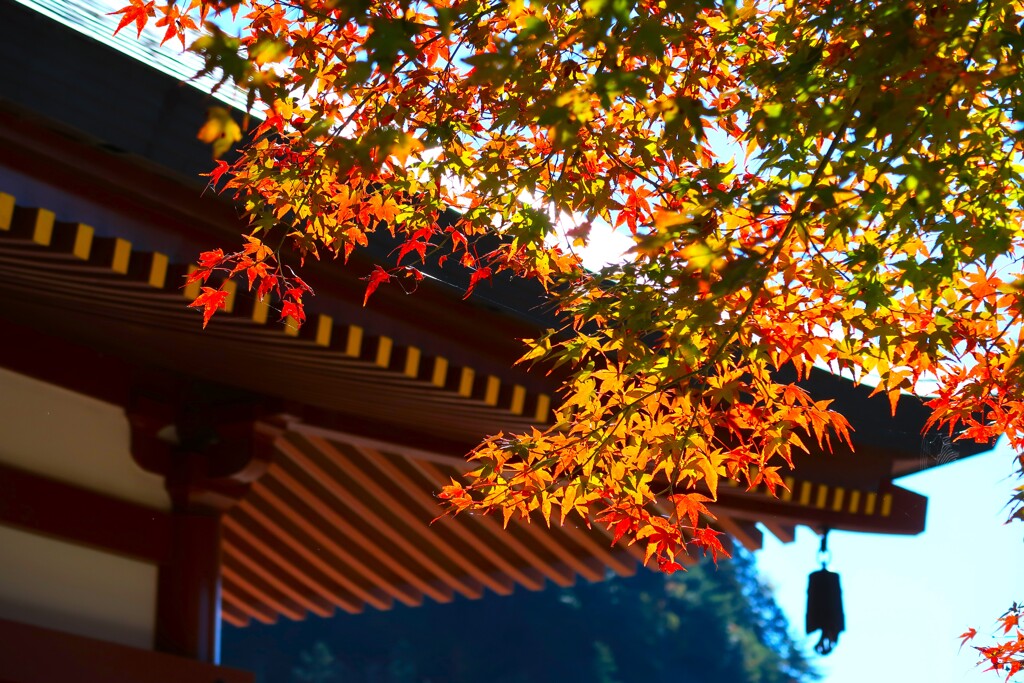 鳳来寺