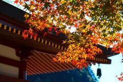 鳳来寺