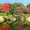 庭園
