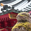 箱根神社にて　その２