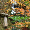 箱根神社にて　その１