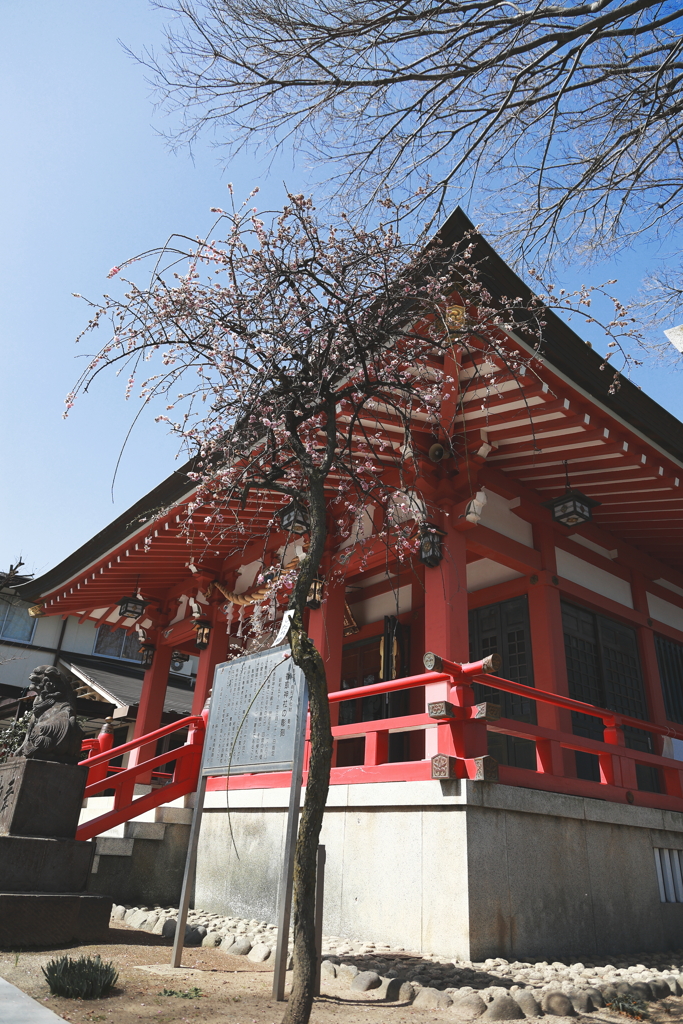 地元の神社