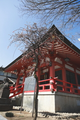 地元の神社