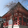 地元の神社