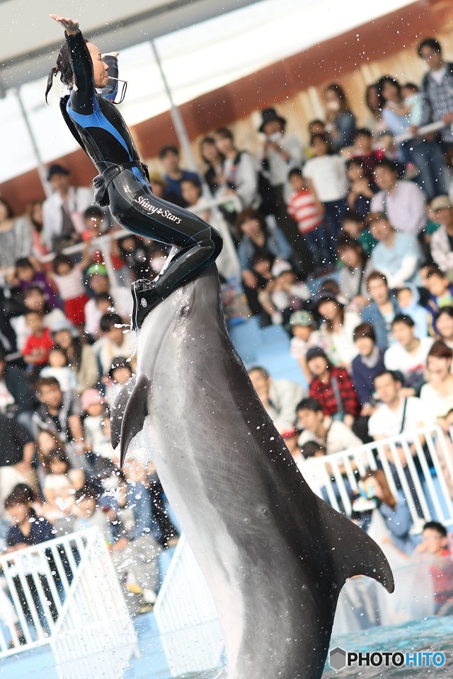 2017年の写真