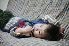 2011年の写真