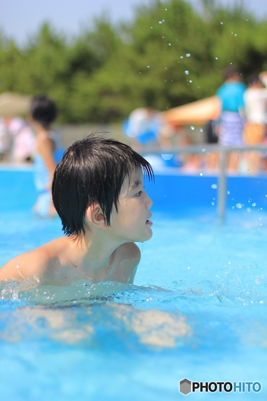 2017年の写真