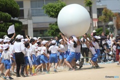 2019年の運動会