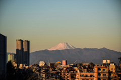 2023.1/1 富士山