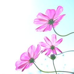 透け透け