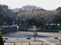 小虫の大群だった