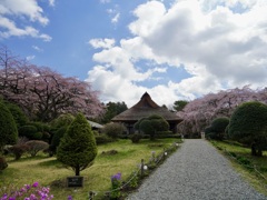 秩父宮記念公園