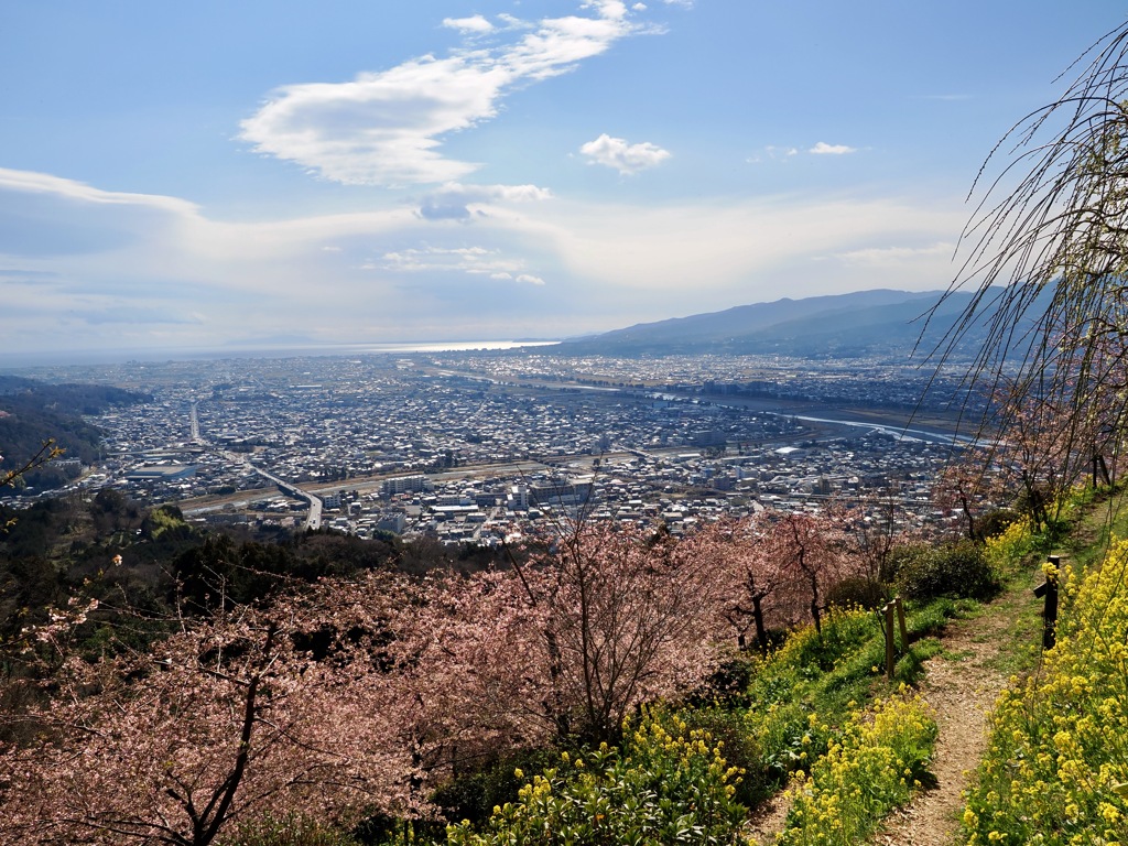 小田原を観